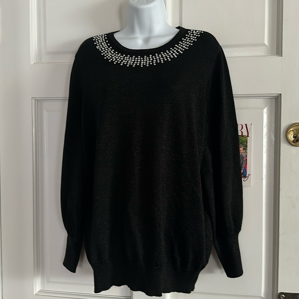Terra&Sky sequin shimmer pullover top